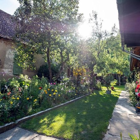 Villa Rihuini Eco Wine House Transylvania Richisu Zewnętrze zdjęcie
