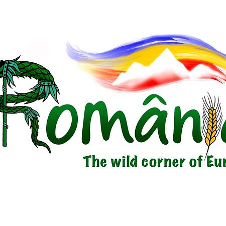 Villa Rihuini Eco Wine House Transylvania Richisu Zewnętrze zdjęcie