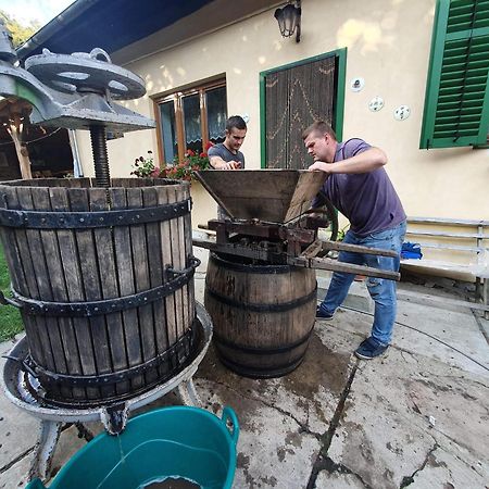 Villa Rihuini Eco Wine House Transylvania Richisu Zewnętrze zdjęcie