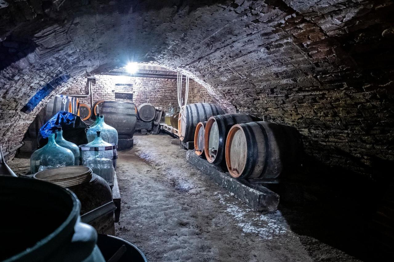 Villa Rihuini Eco Wine House Transylvania Richisu Zewnętrze zdjęcie