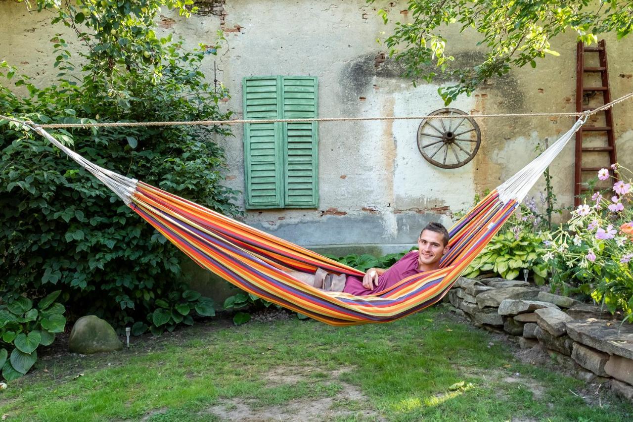Villa Rihuini Eco Wine House Transylvania Richisu Zewnętrze zdjęcie