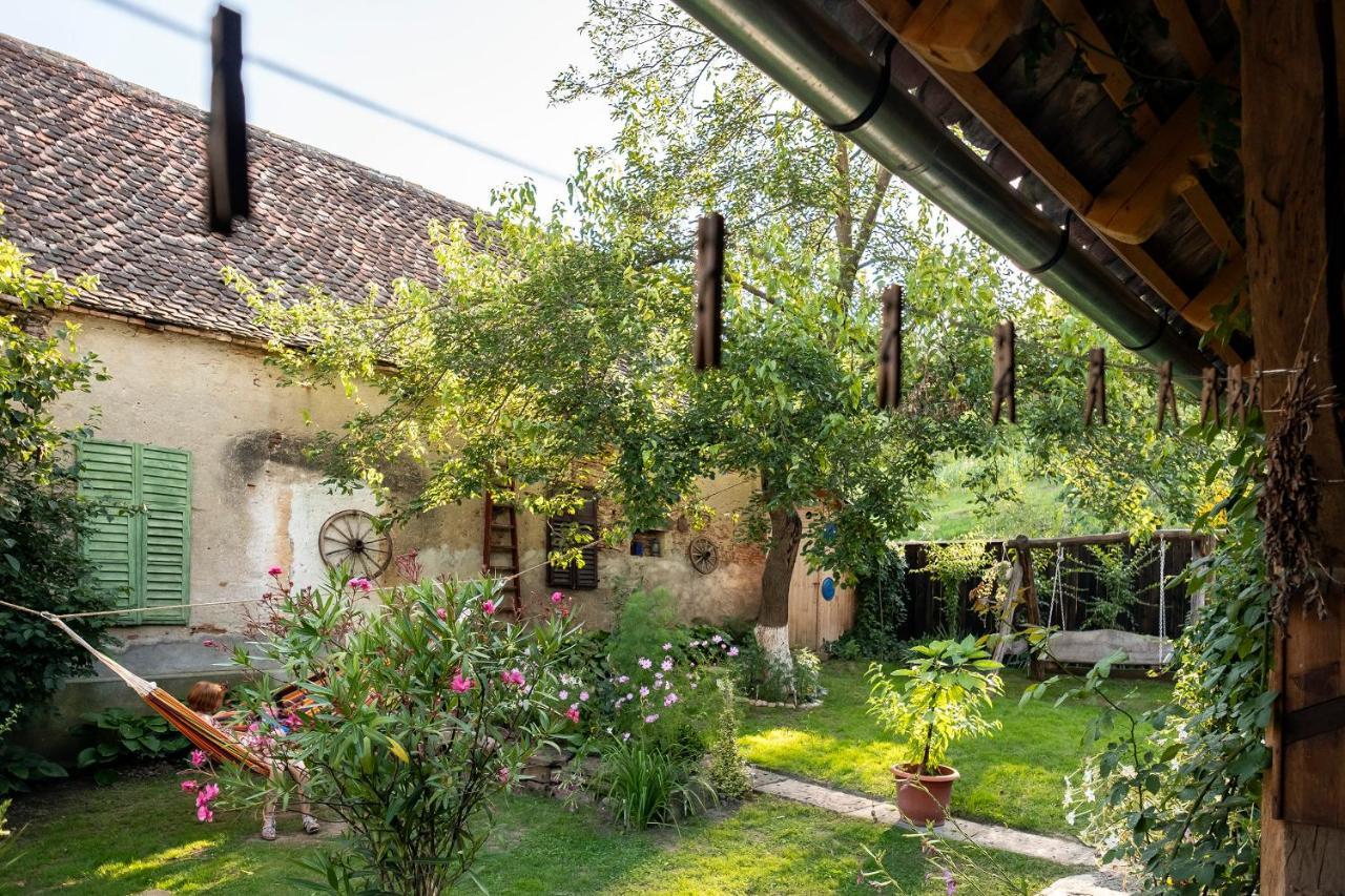 Villa Rihuini Eco Wine House Transylvania Richisu Zewnętrze zdjęcie