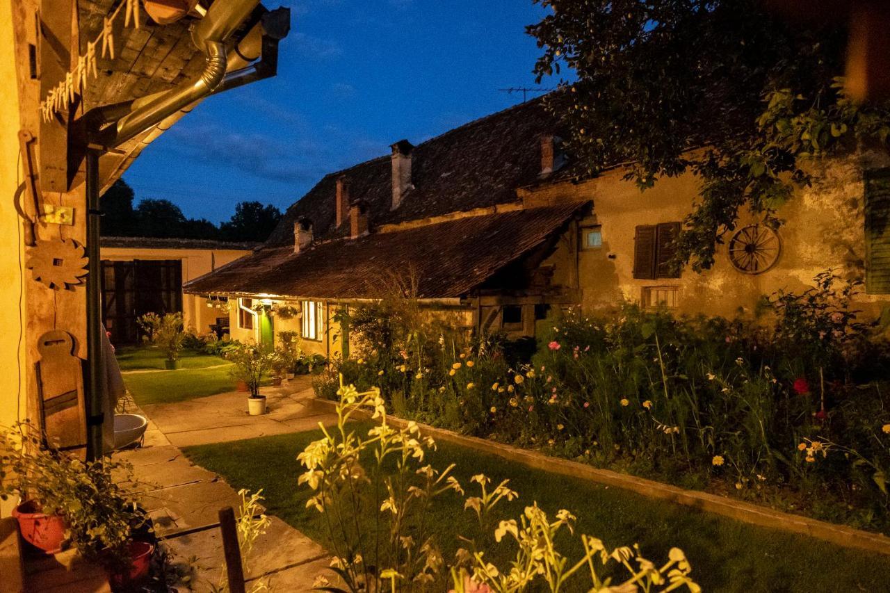 Villa Rihuini Eco Wine House Transylvania Richisu Zewnętrze zdjęcie