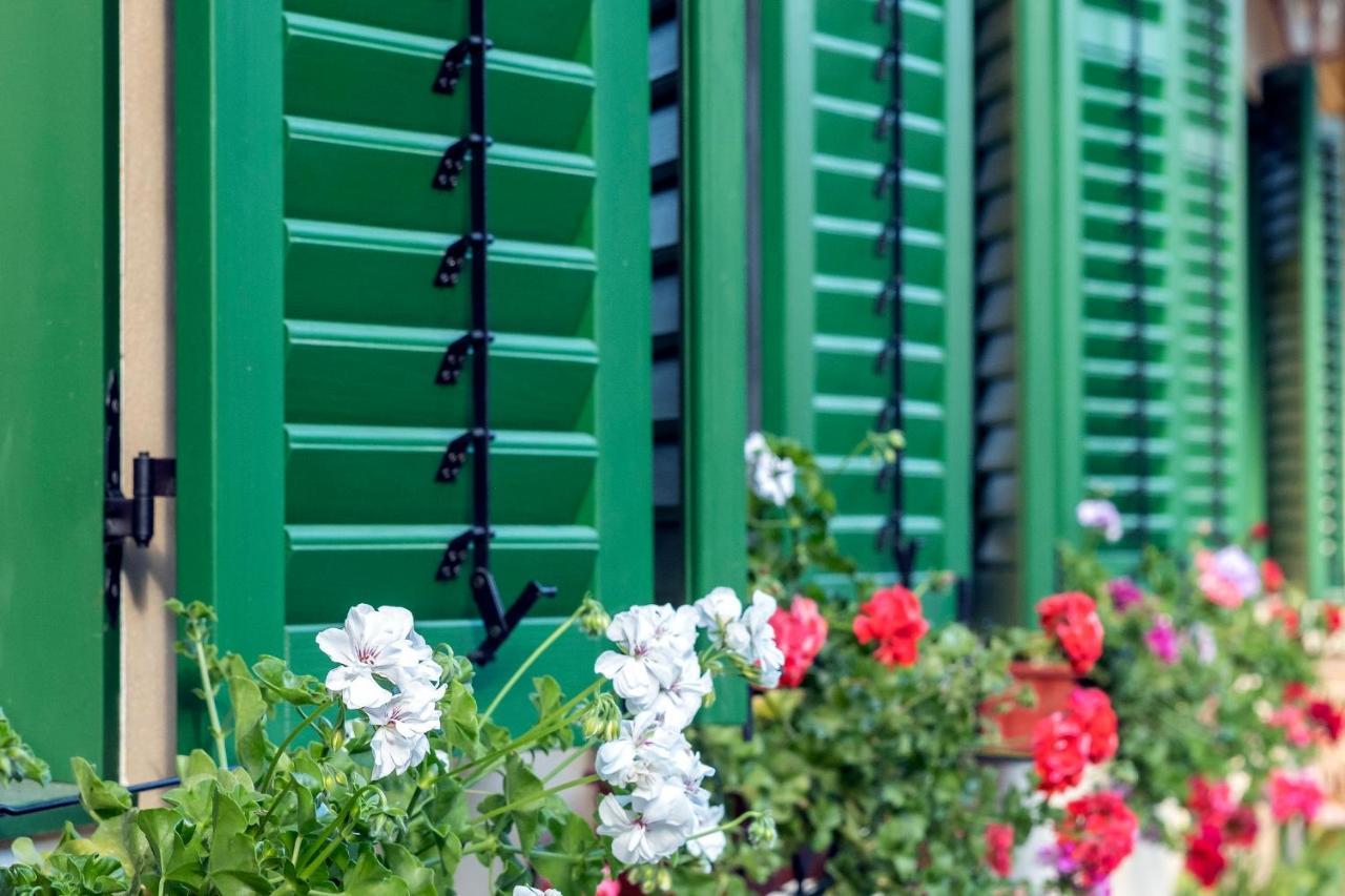 Villa Rihuini Eco Wine House Transylvania Richisu Zewnętrze zdjęcie