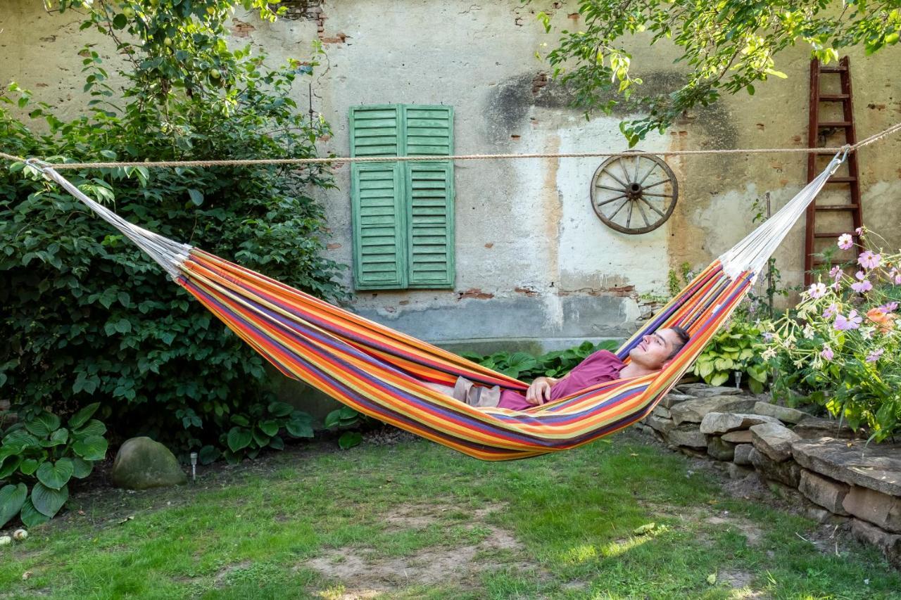 Villa Rihuini Eco Wine House Transylvania Richisu Zewnętrze zdjęcie