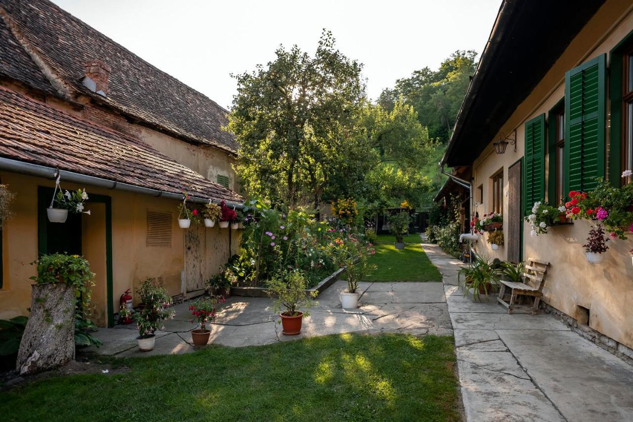 Villa Rihuini Eco Wine House Transylvania Richisu Zewnętrze zdjęcie