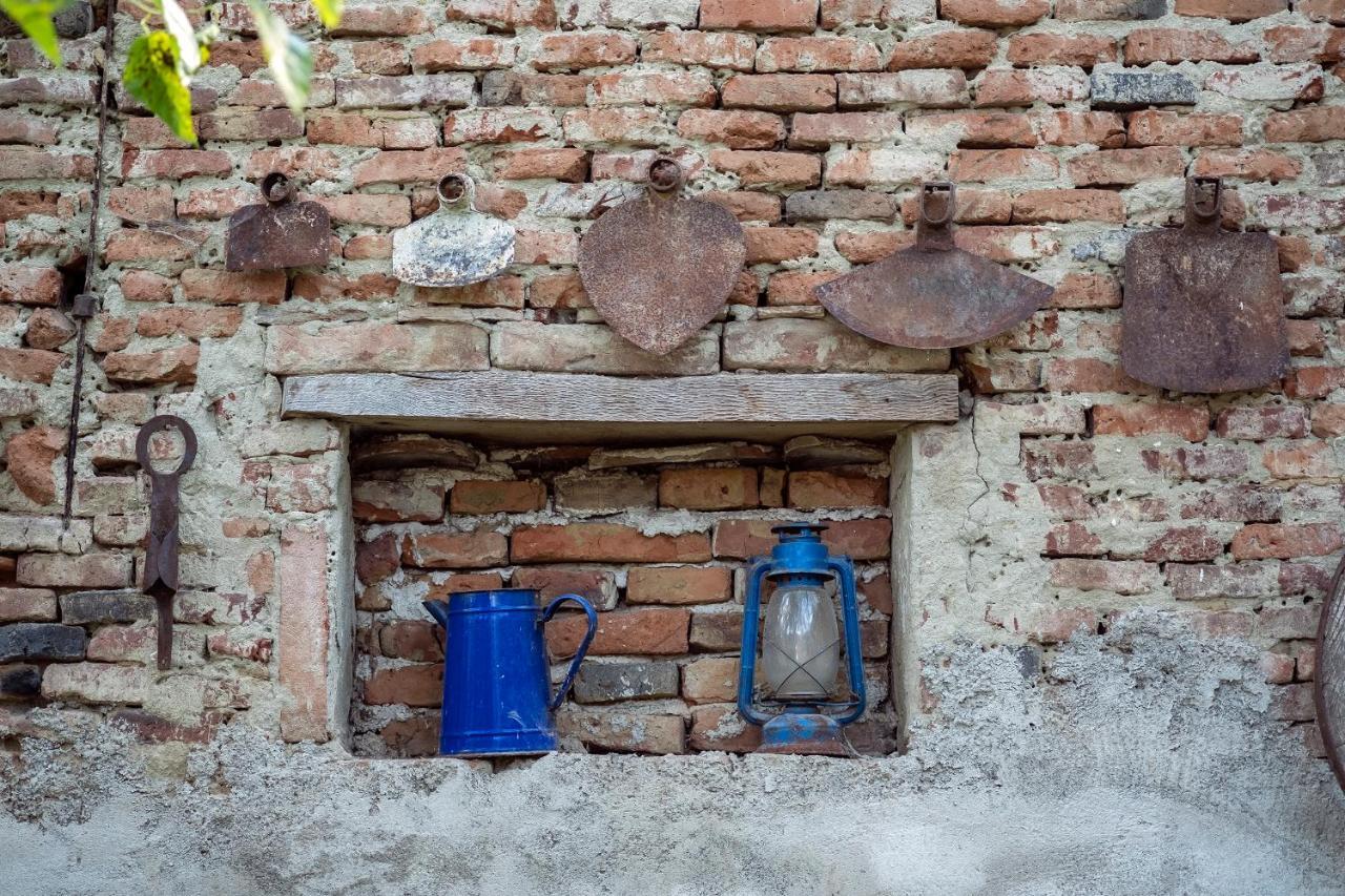 Villa Rihuini Eco Wine House Transylvania Richisu Zewnętrze zdjęcie