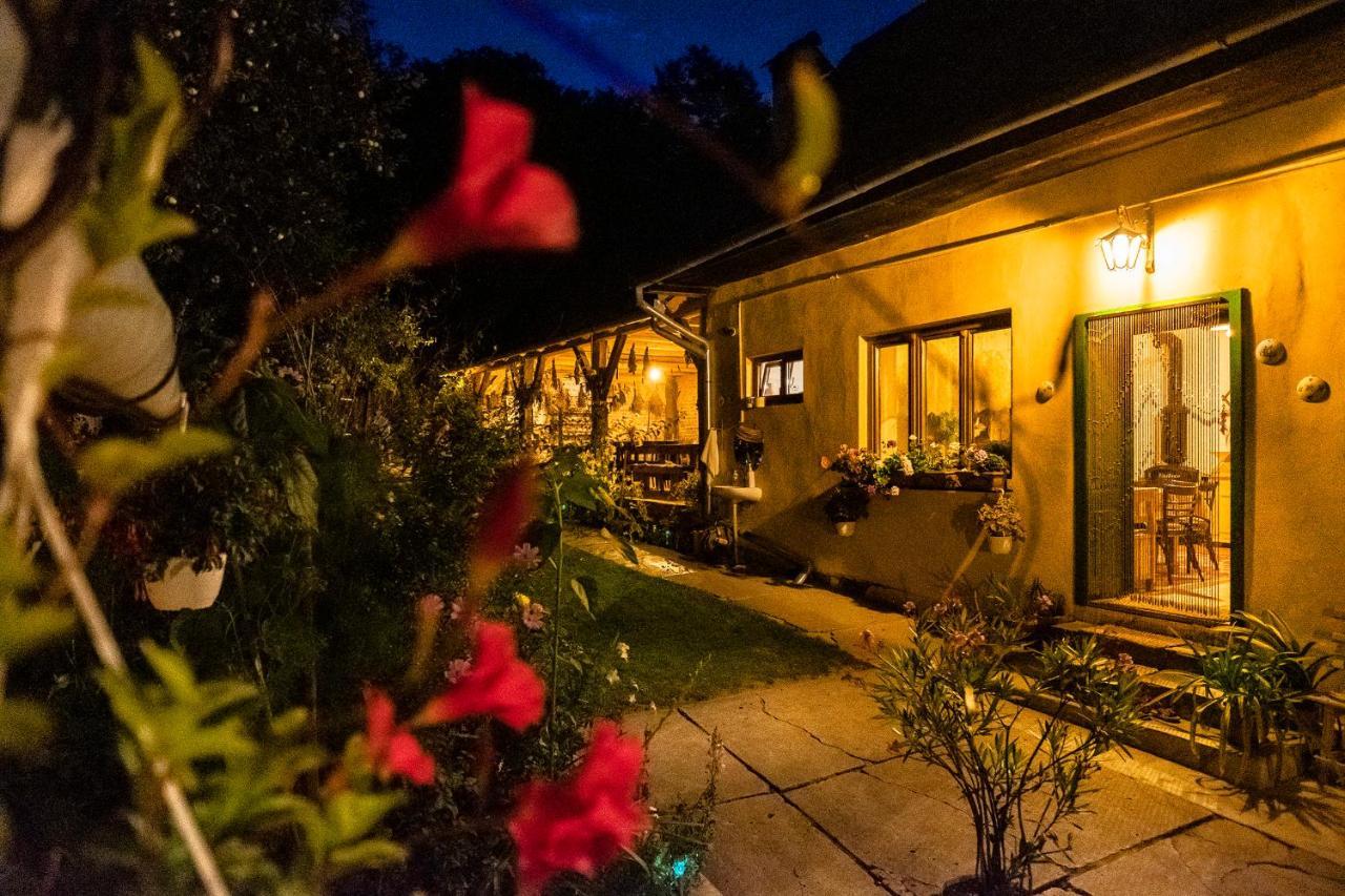 Villa Rihuini Eco Wine House Transylvania Richisu Zewnętrze zdjęcie