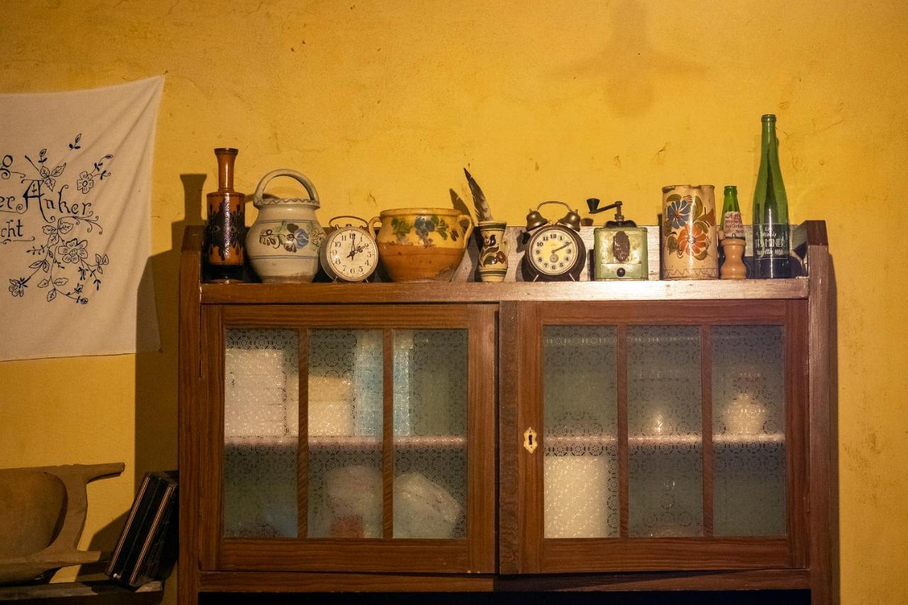 Villa Rihuini Eco Wine House Transylvania Richisu Zewnętrze zdjęcie