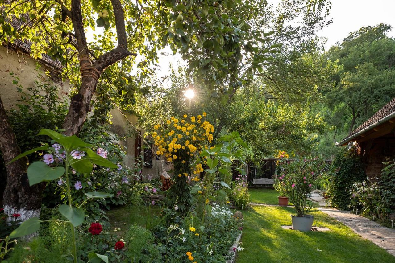 Villa Rihuini Eco Wine House Transylvania Richisu Zewnętrze zdjęcie