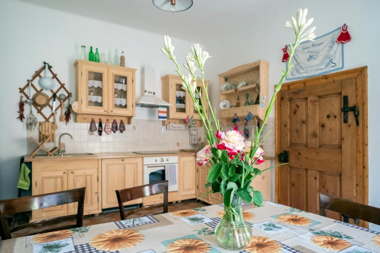 Villa Rihuini Eco Wine House Transylvania Richisu Zewnętrze zdjęcie