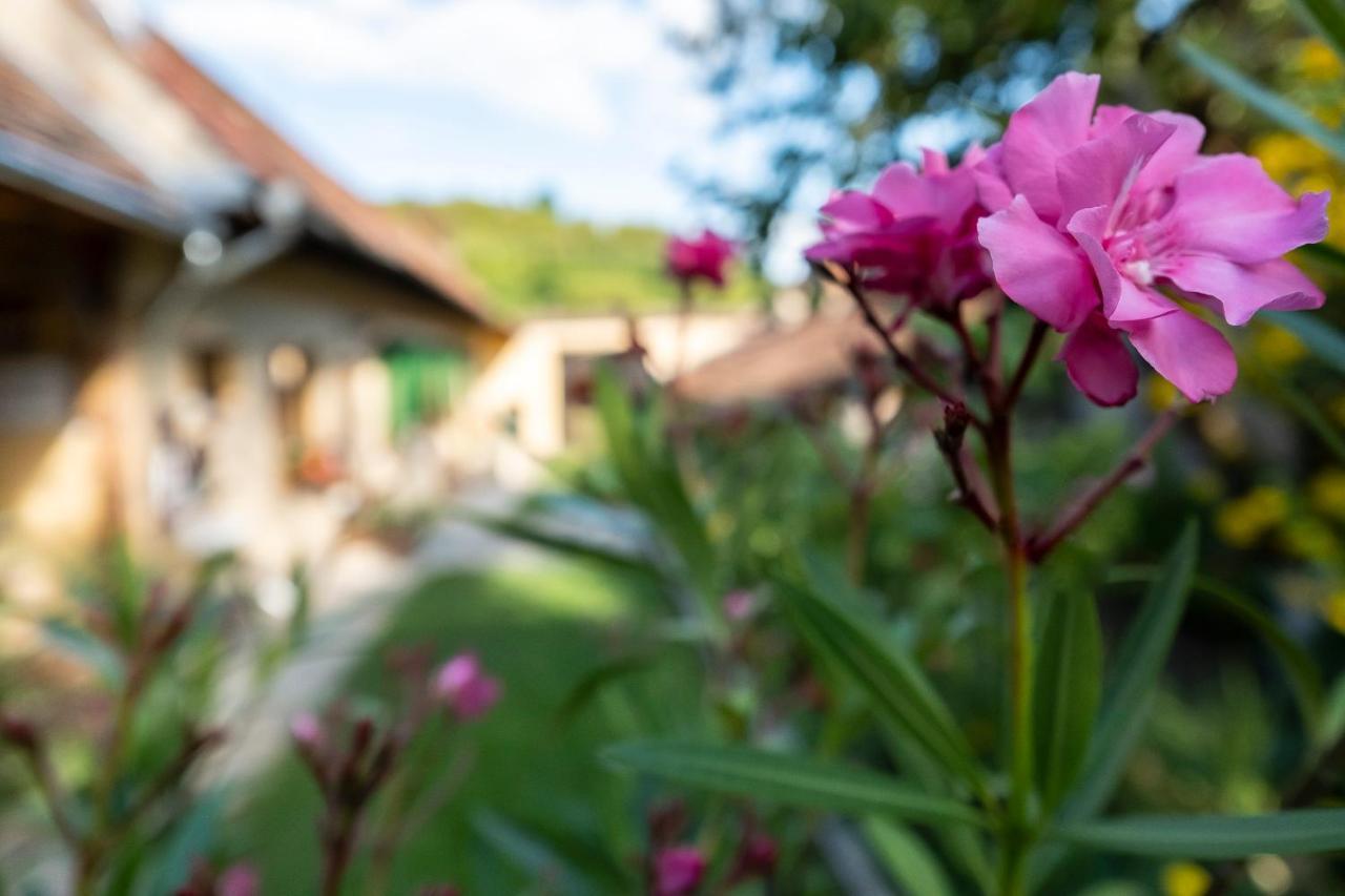 Villa Rihuini Eco Wine House Transylvania Richisu Zewnętrze zdjęcie