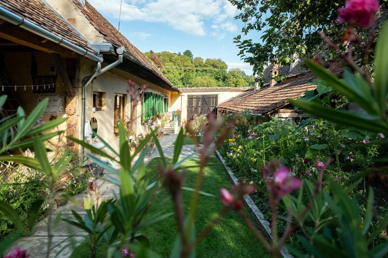 Villa Rihuini Eco Wine House Transylvania Richisu Zewnętrze zdjęcie