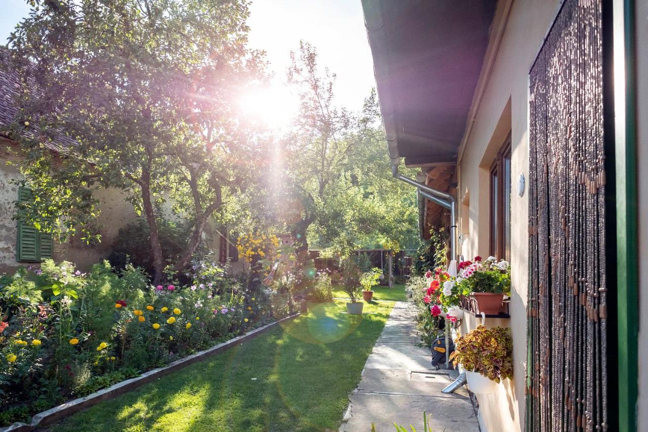 Villa Rihuini Eco Wine House Transylvania Richisu Zewnętrze zdjęcie