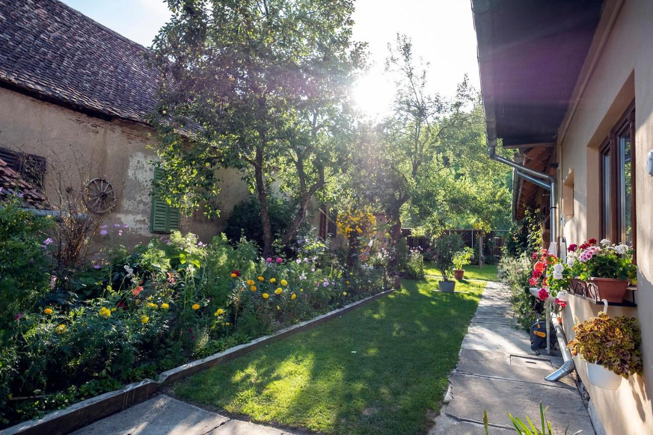 Villa Rihuini Eco Wine House Transylvania Richisu Zewnętrze zdjęcie