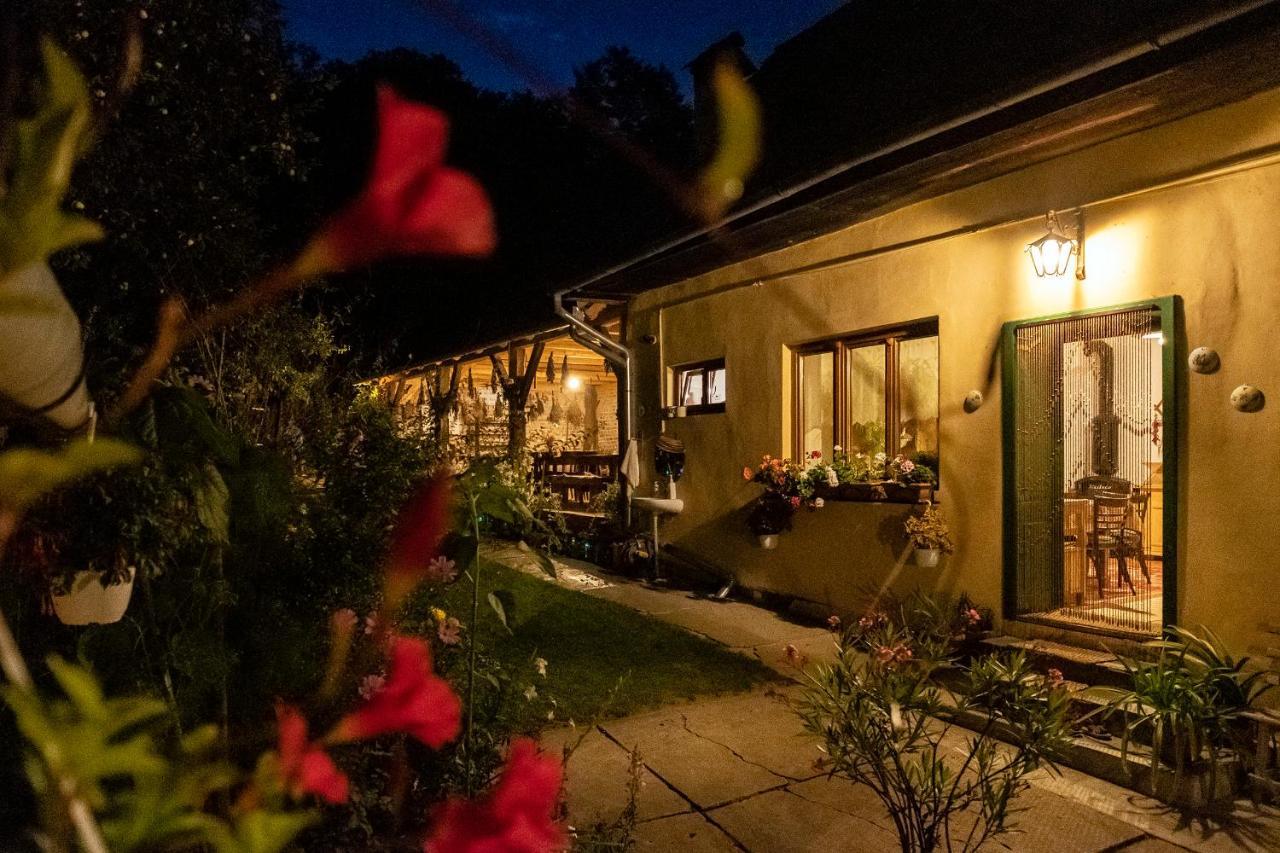 Villa Rihuini Eco Wine House Transylvania Richisu Zewnętrze zdjęcie