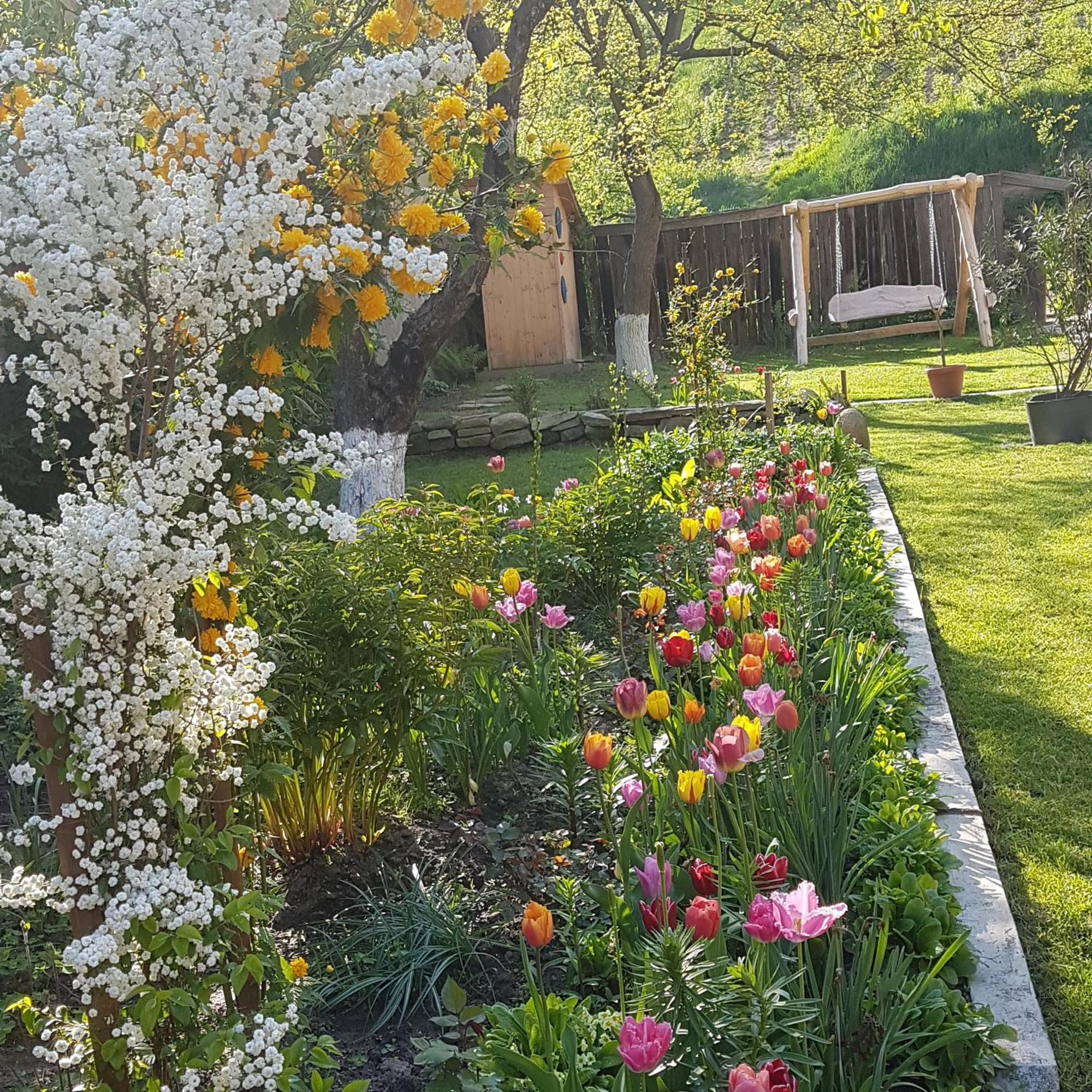 Villa Rihuini Eco Wine House Transylvania Richisu Zewnętrze zdjęcie